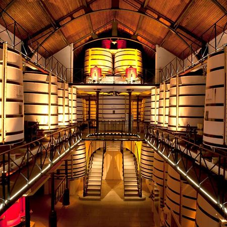 Le Mimosa #Netflix #Centre-Ville Cognac Zewnętrze zdjęcie